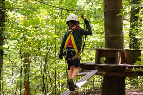 Adventure Forest