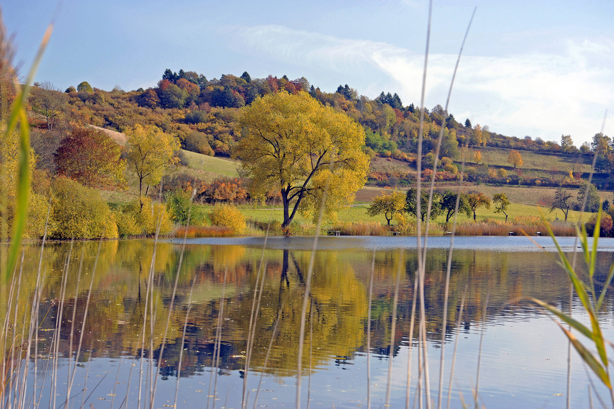 Urlaub im Gesundlland Vulkaneifel inmitten des UNESCO Global Geopark mit Michels Wohlfühlhotel