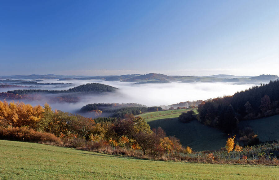 Herbst in der Vulkaneifel im Michels Wohlfühlhotel