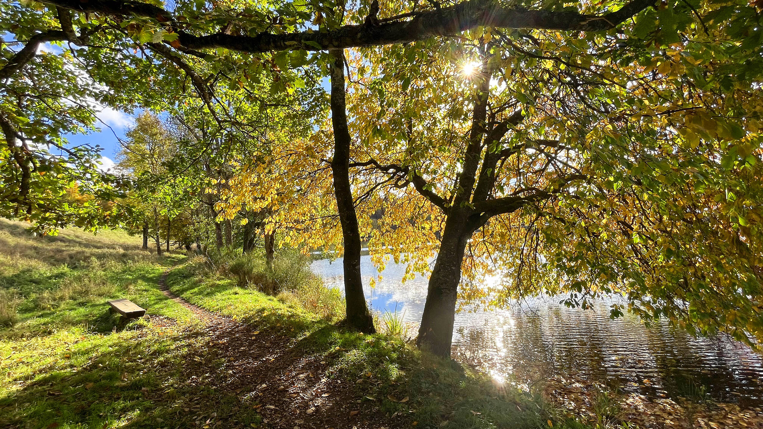 Weinfelder Maar Herbst 1
