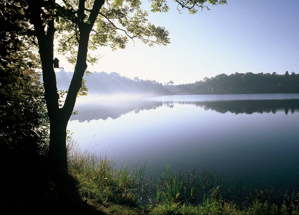 MICHELS Naturerlebnis Vulkaneifel