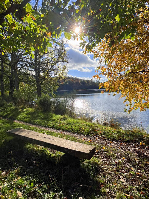 Weinfelder Maar Herbst 3