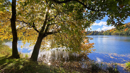 Weinfelder Maar in der Nähe vom Michels Wohlfühlhotel