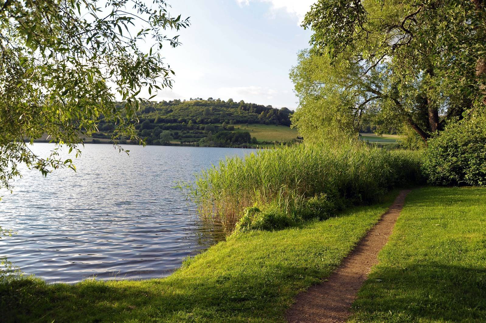 Radweg am Schalkenmehrener Maarufer in der Vulkaneifel