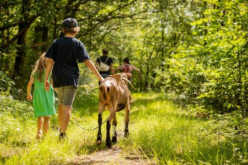 Unvergesslicher Familienausflug   Ziegenwanderung